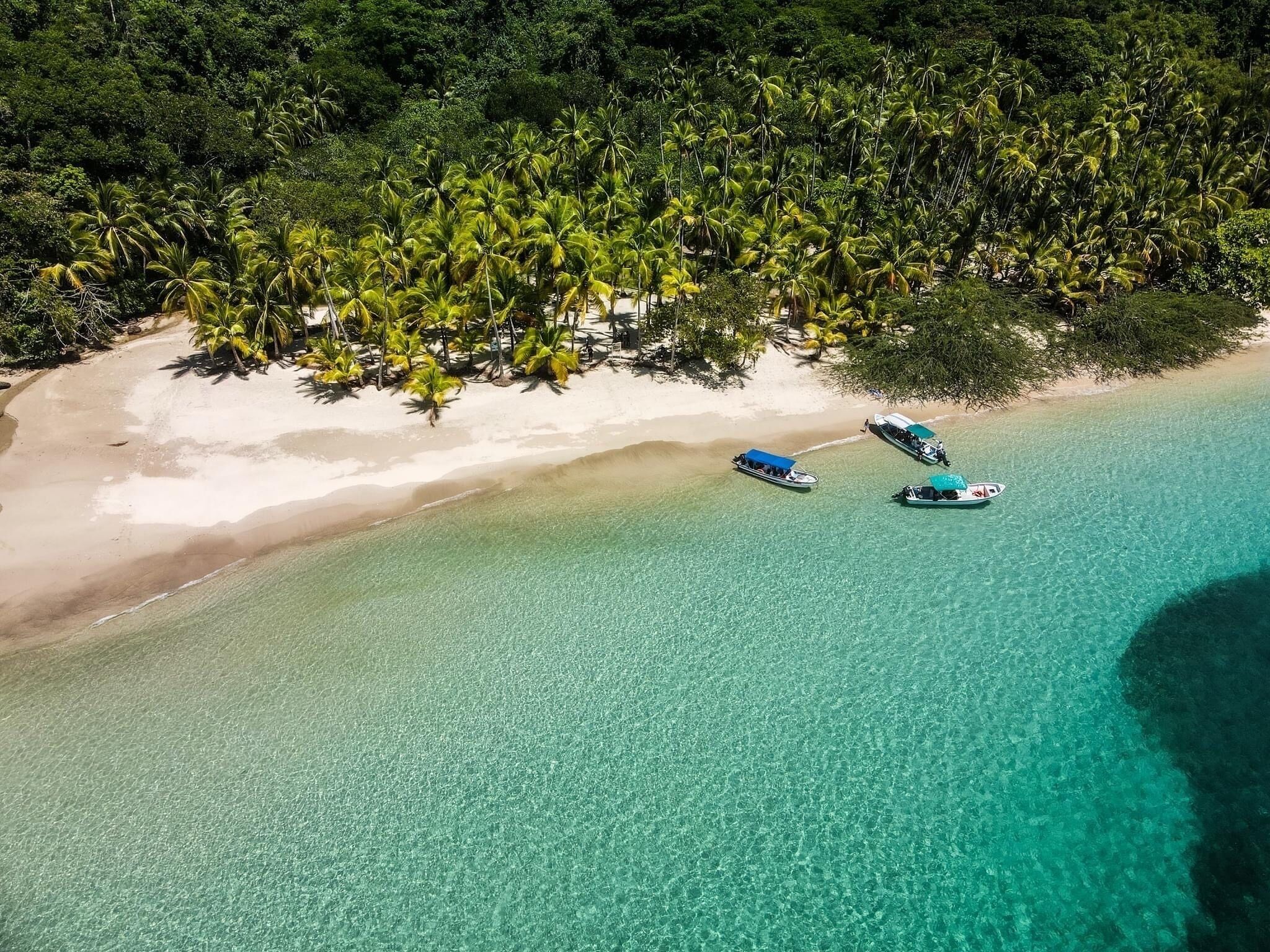 An aerial view of a beach with clear turquoise water, a sandy shore, and a dense cluster of palm trees. Two boats are anchored near the shore.
