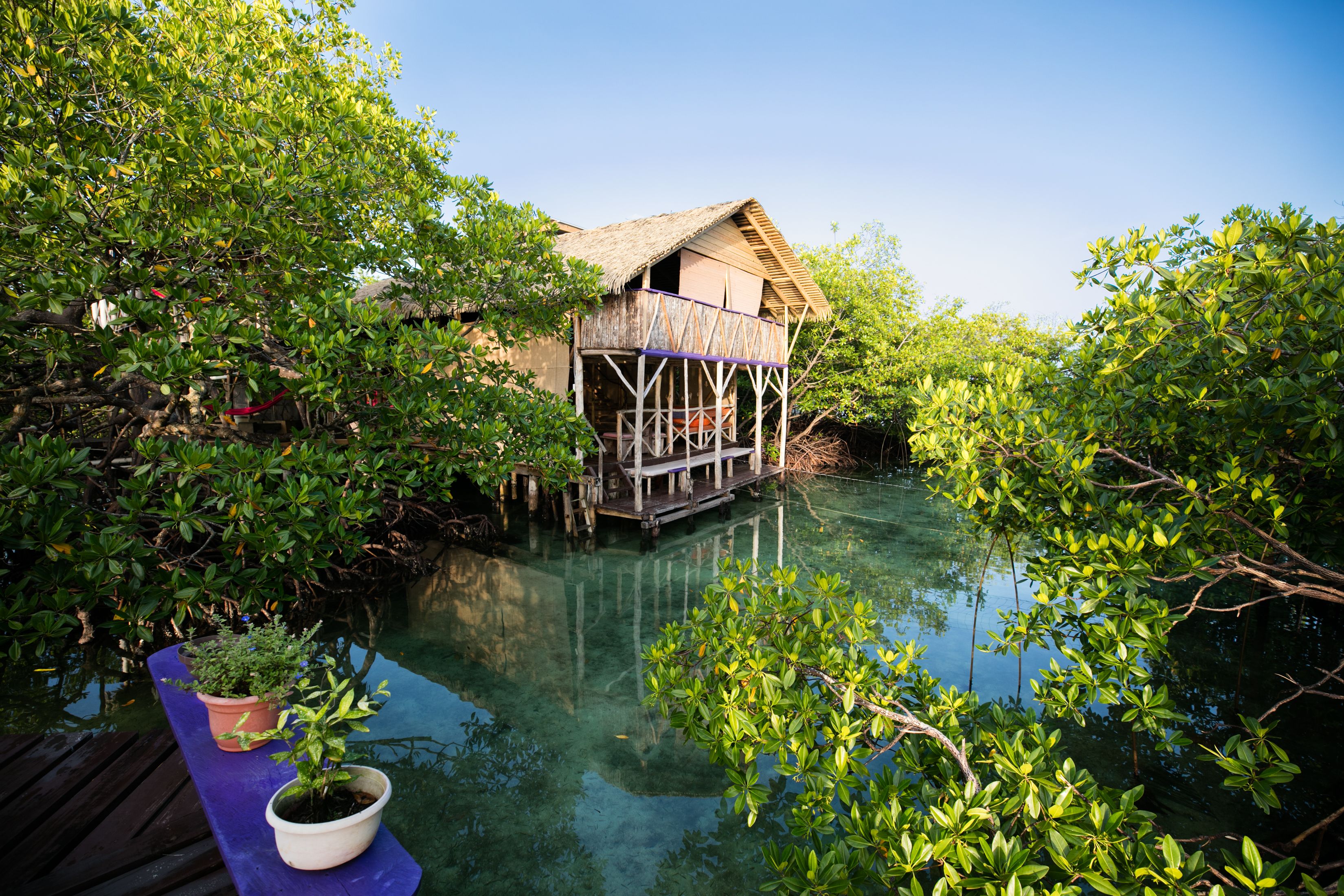 Urraca Private Island Eco Lodge - Adults Only