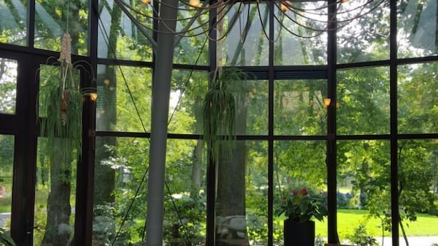 An indoor dining area with a glass ceiling, wicker furniture, and hanging plants. - Droste's herberg (Tubbergen)