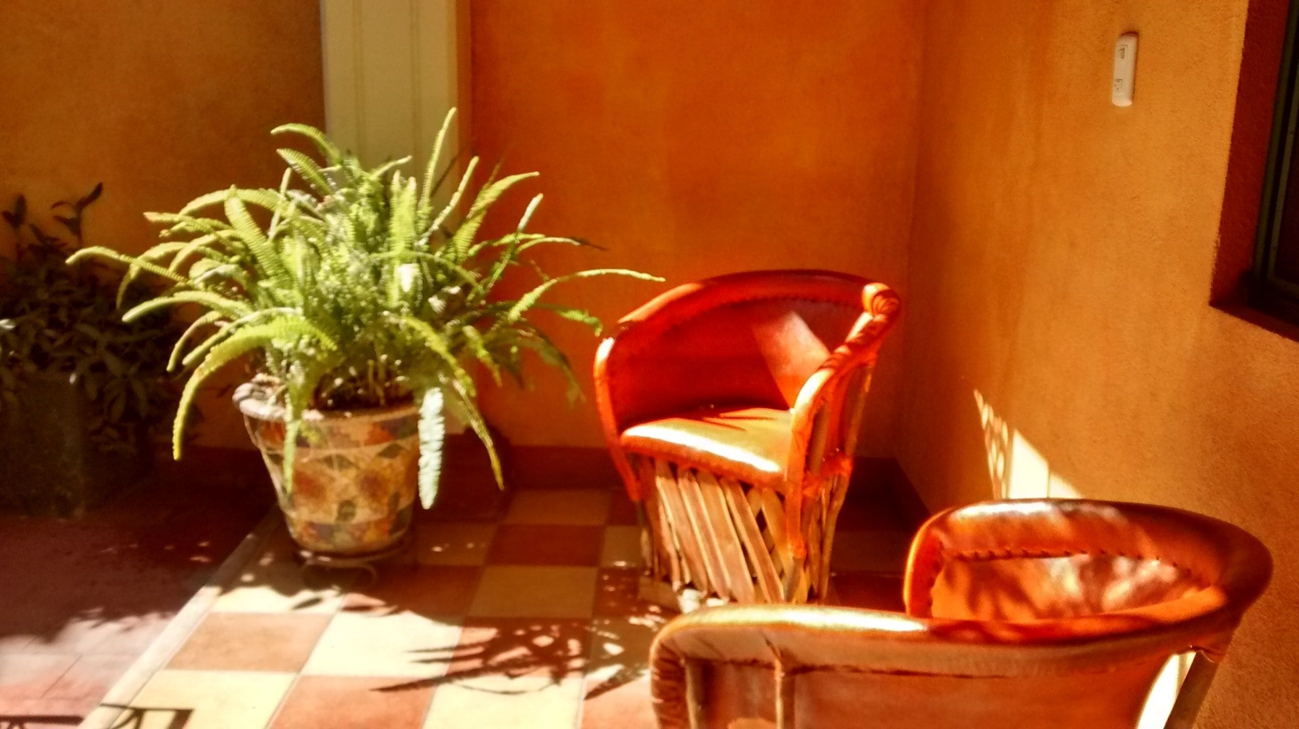 A potted plant, a wicker chair, and a tiled floor in a corner.