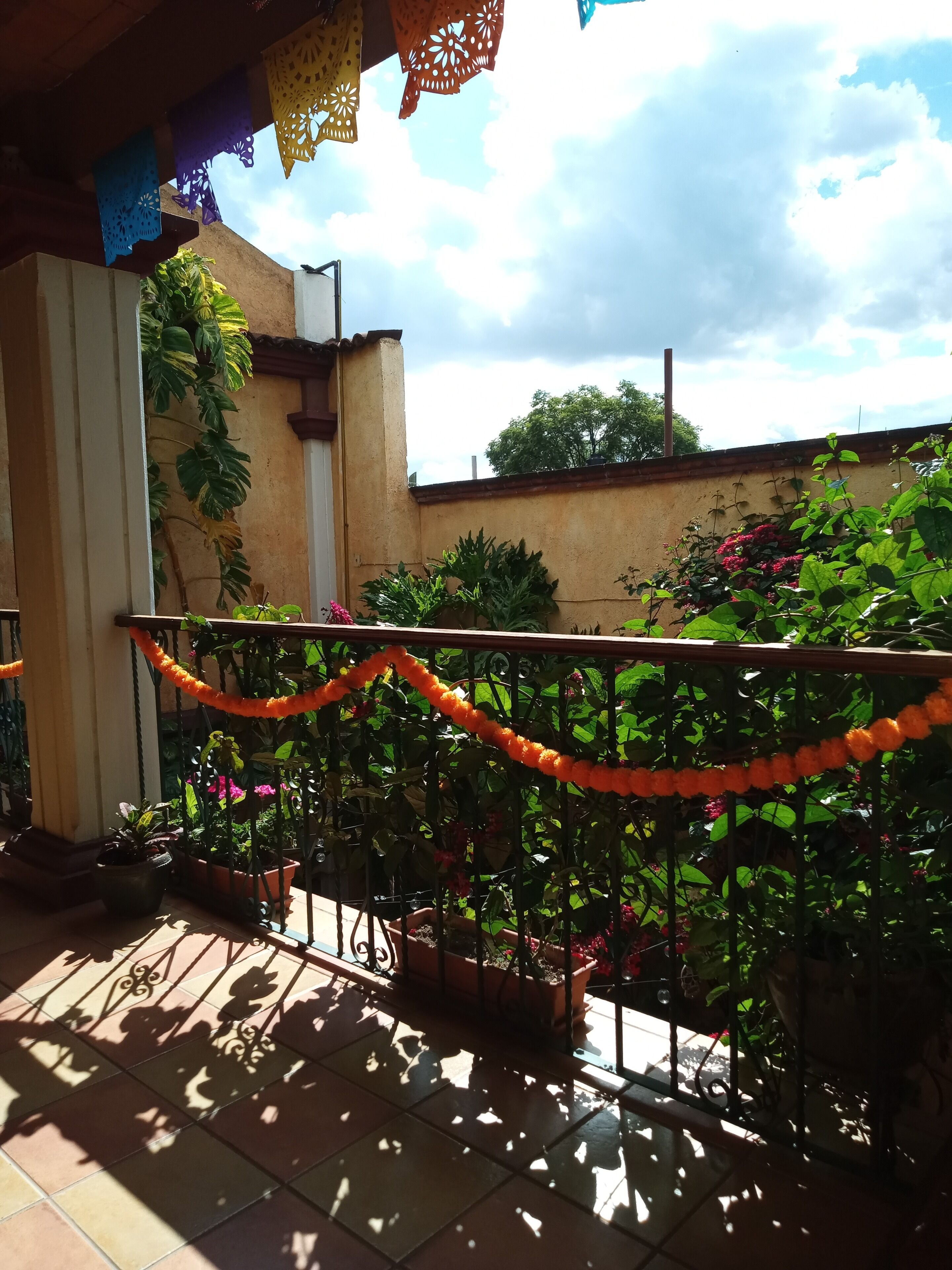 Single Room, 1 Double Bed | Terrace/patio