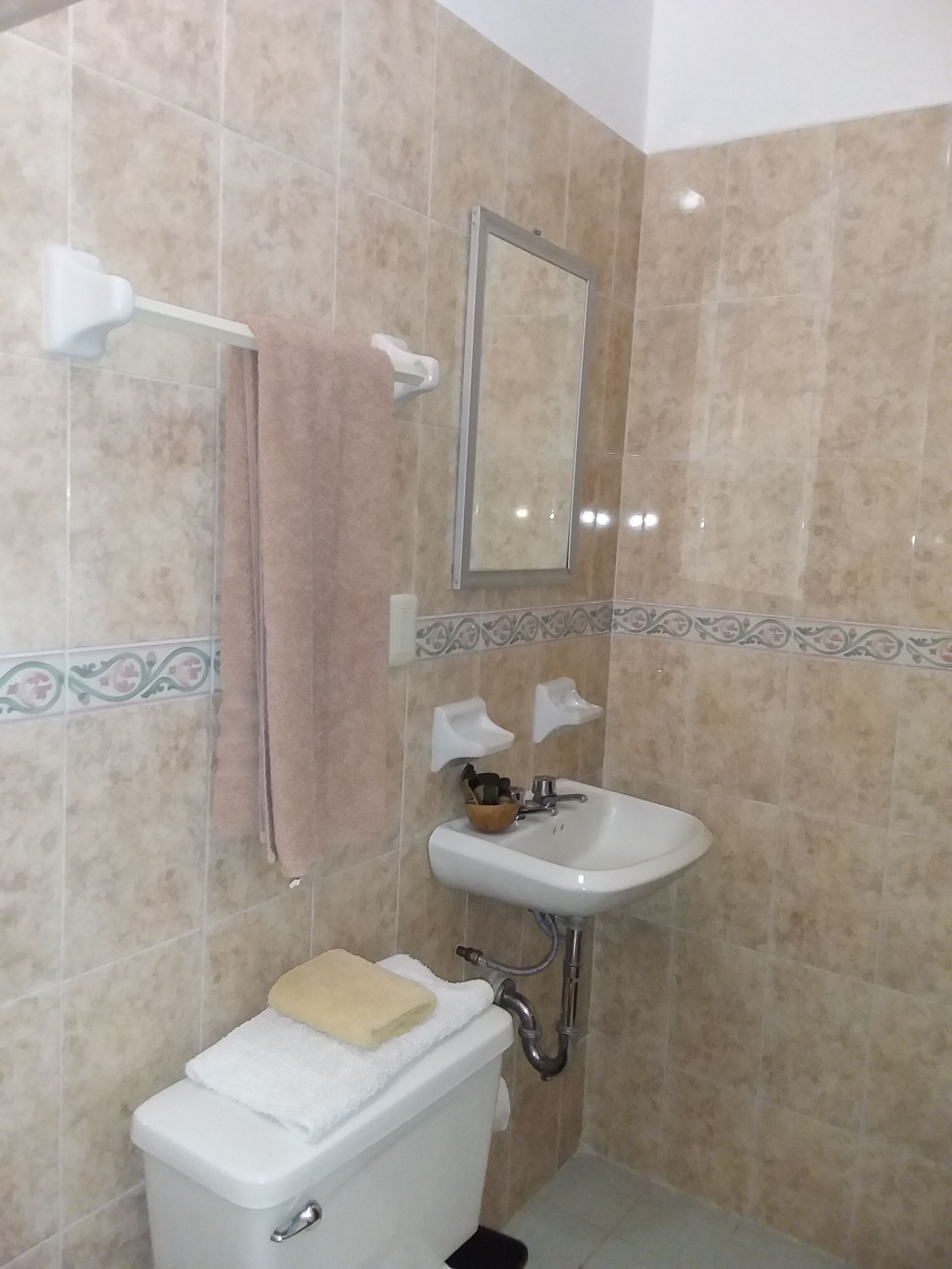 A bathroom with a toilet, sink, and mirror.