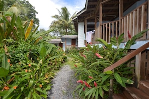 Ein Weg führt zu einem Holzhaus mit Veranda, umgeben von üppigen tropischen Pflanzen und einer Palme.