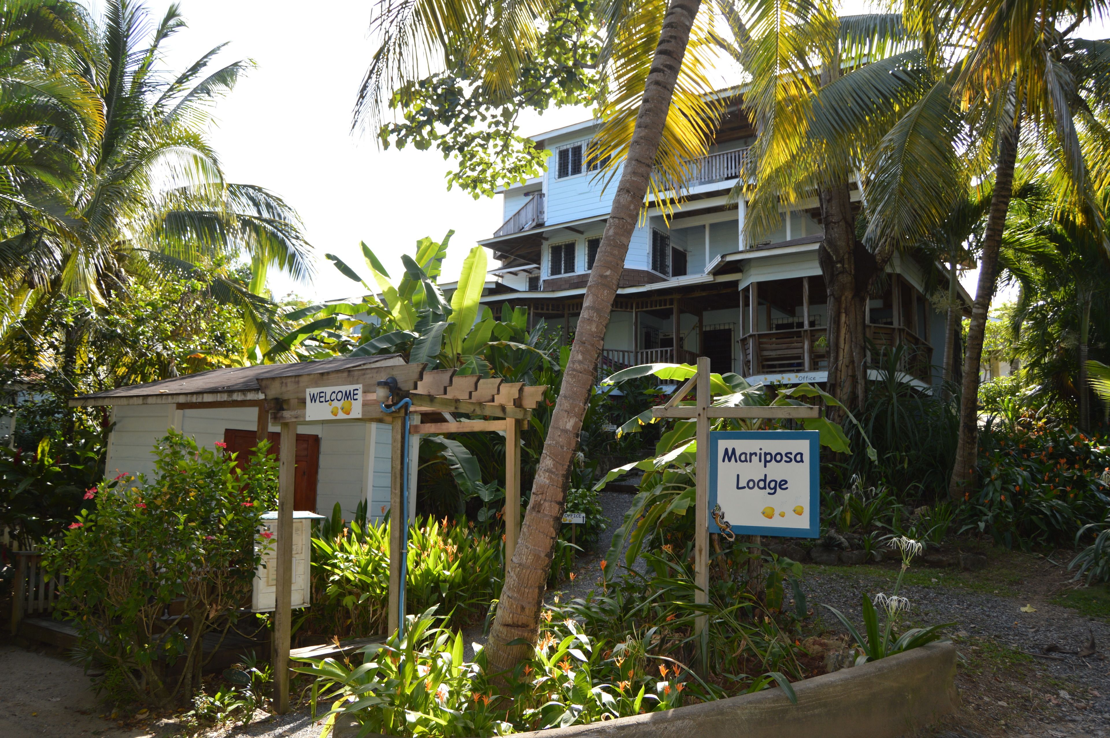 Una pequeña estructura con un letrero que dice 'Welcome', rodeada de exuberante vegetación tropical y un edificio identificado como 'Mariposalodge' al fondo.