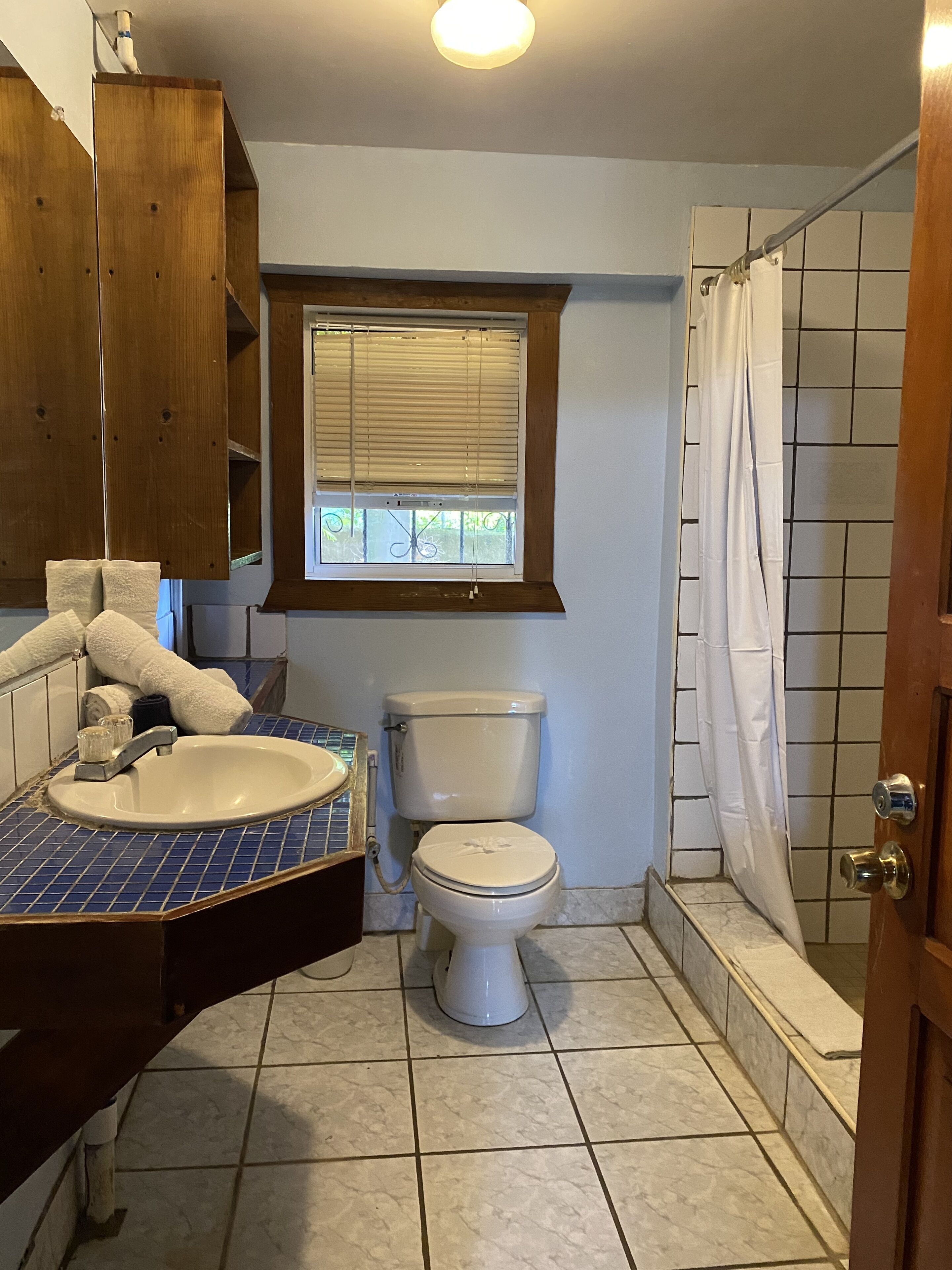 Un baño con lavamanos, inodoro y ducha.