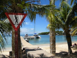 Escena de playa con un muelle de madera, palmeras y un cartel que advierte sobre la caída de cocos.
