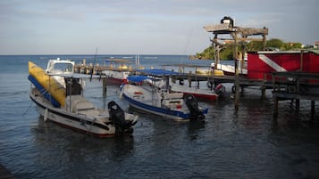 Paseos en barco