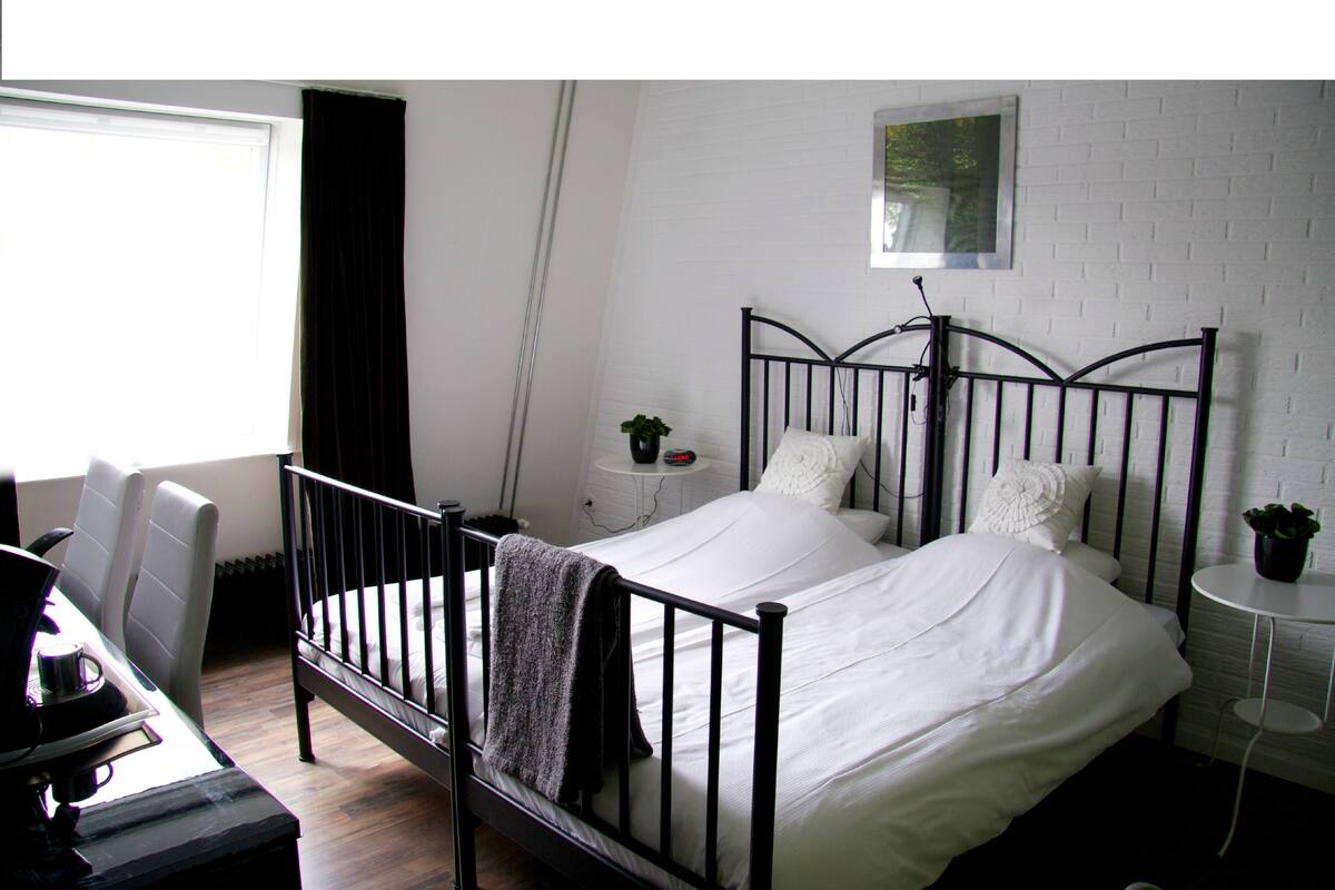 A modern bedroom with a black metal bed frame, white bedding, a small bedside table with a plant, and a window with curtains.