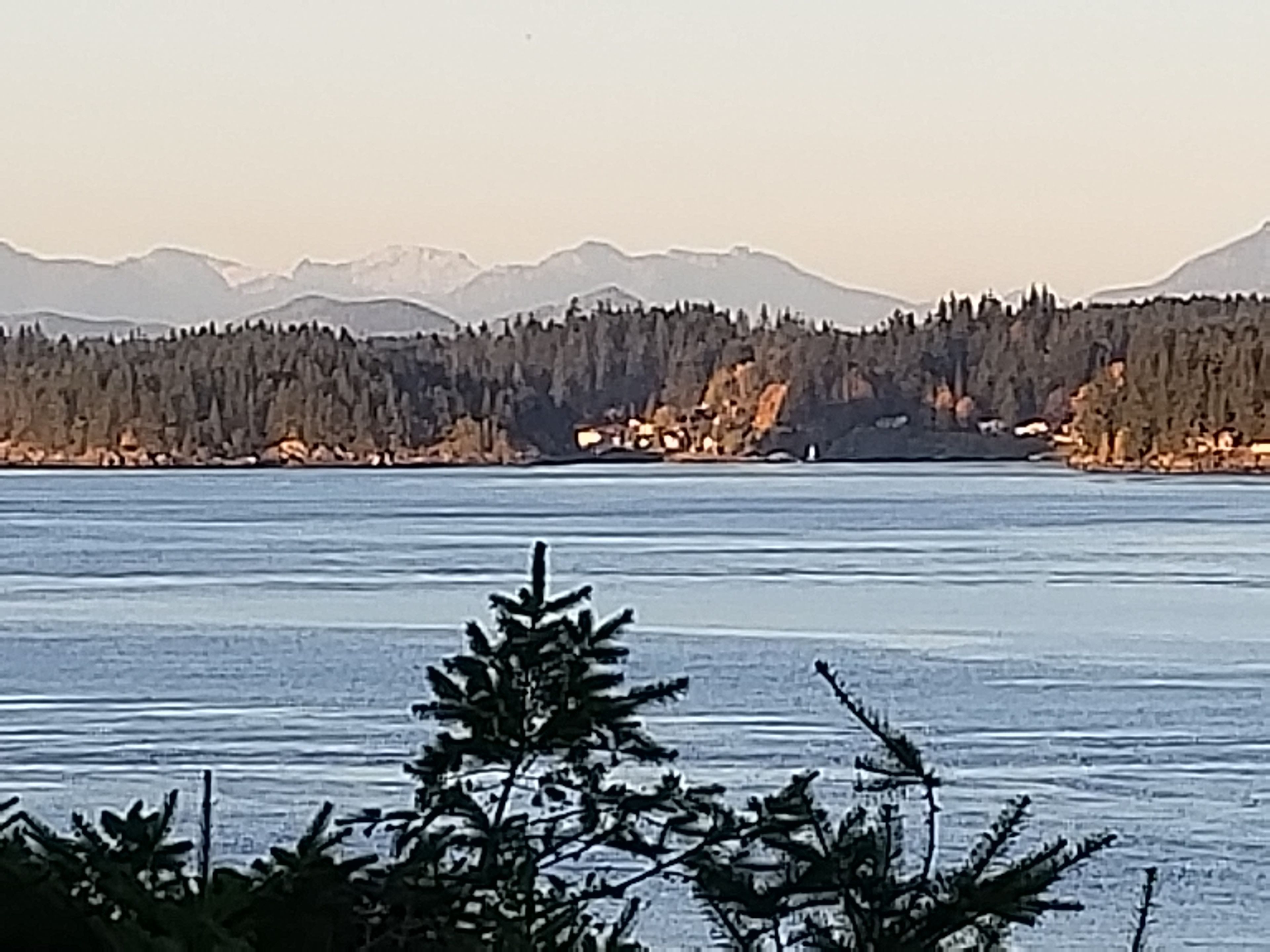 Una vista d'un llac amb muntanyes al fons i una riba forestal.