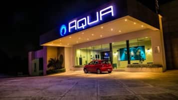 Front of property - evening/night