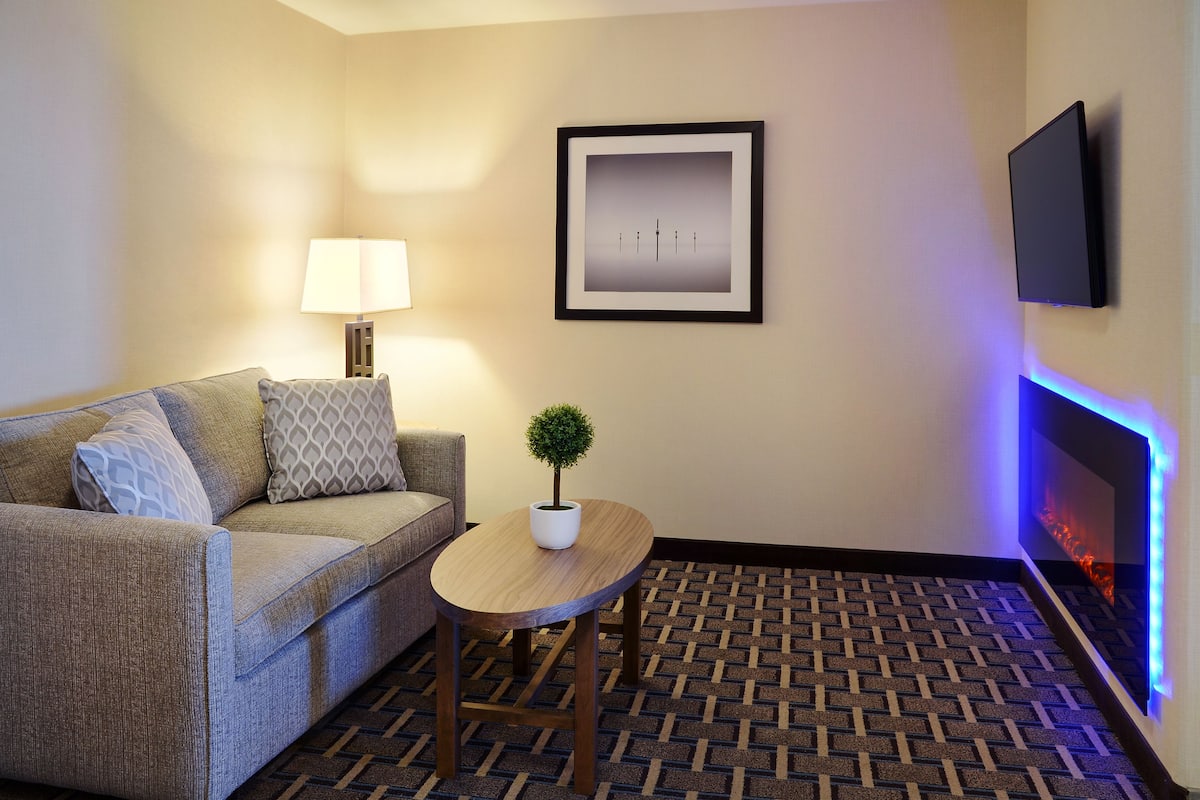 deluxe suite, 1 bedroom, kitchen | living area | 43-inch flat-screen tv with satellite channels, tv