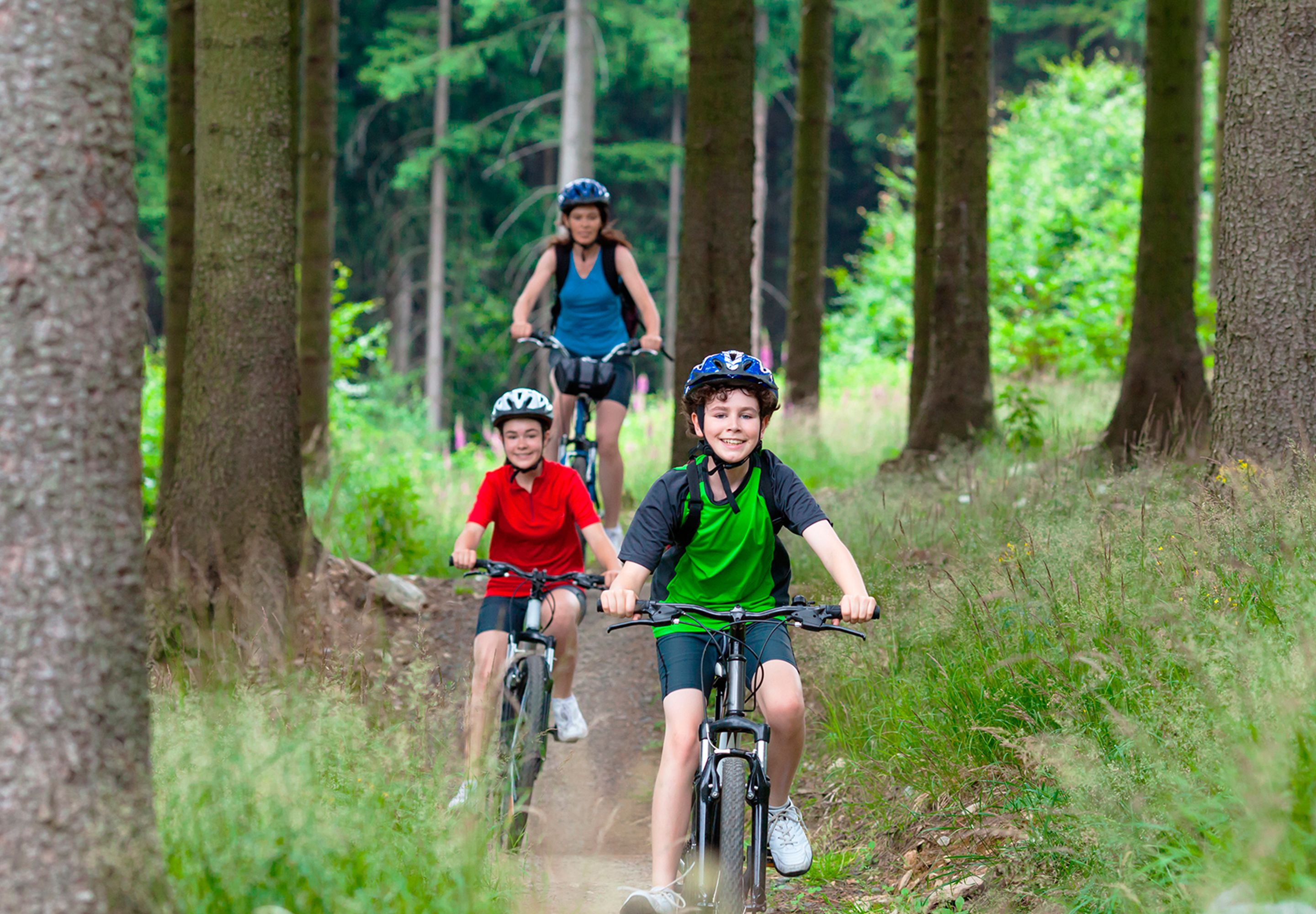 Three people riding bicycles on a forest trail.