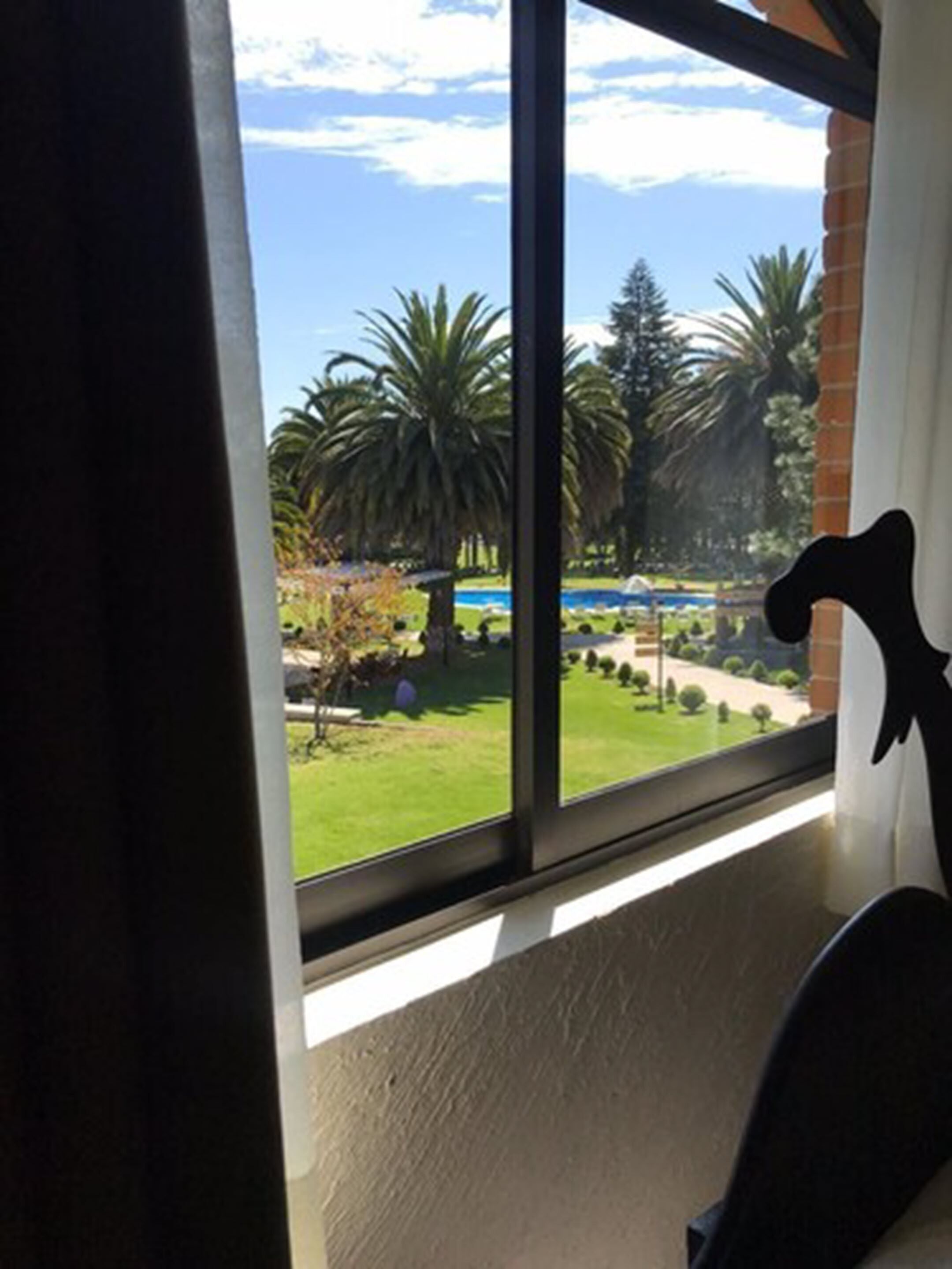 A window with a view of a garden, including palm trees and a lawn.