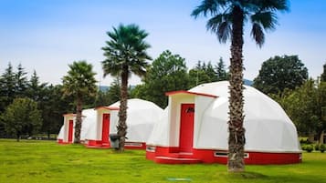 Glamping | Terrace/patio