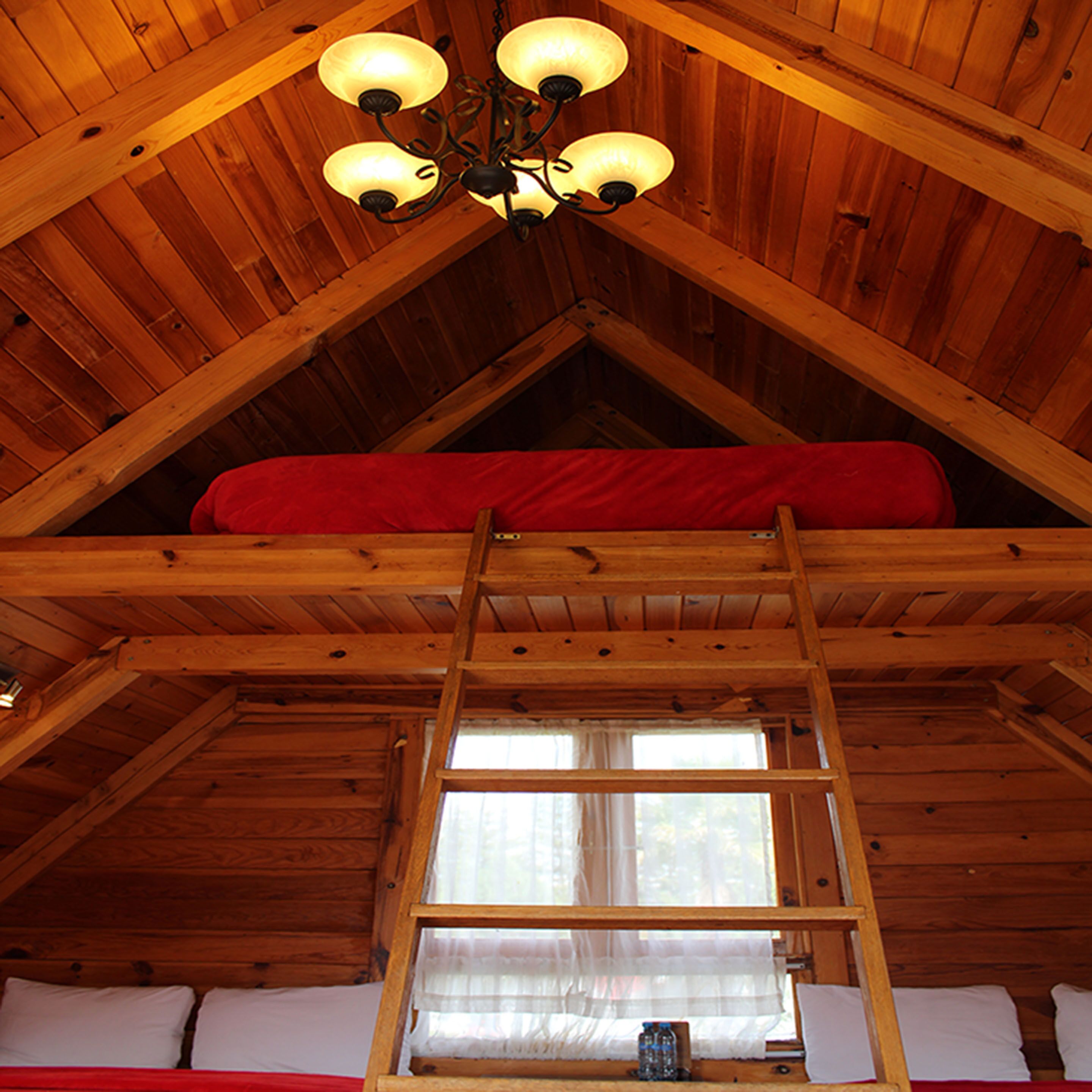 A wooden cabin with a loft bed, a ladder, and a window with curtains.