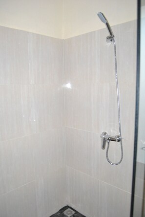 Chambre Standard | Douche de la salle de bain