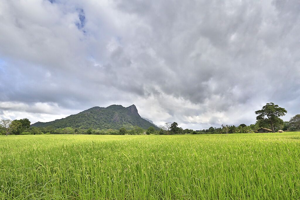 A green field with a mountain in the background and a cloudy sky.