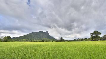 A green field with a mountain in the background and a cloudy sky.