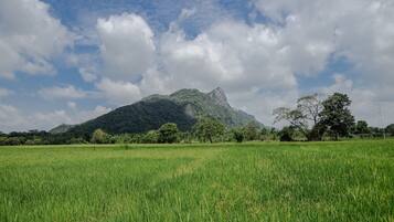 Ein grünes Feld mit einem Berg im Hintergrund.