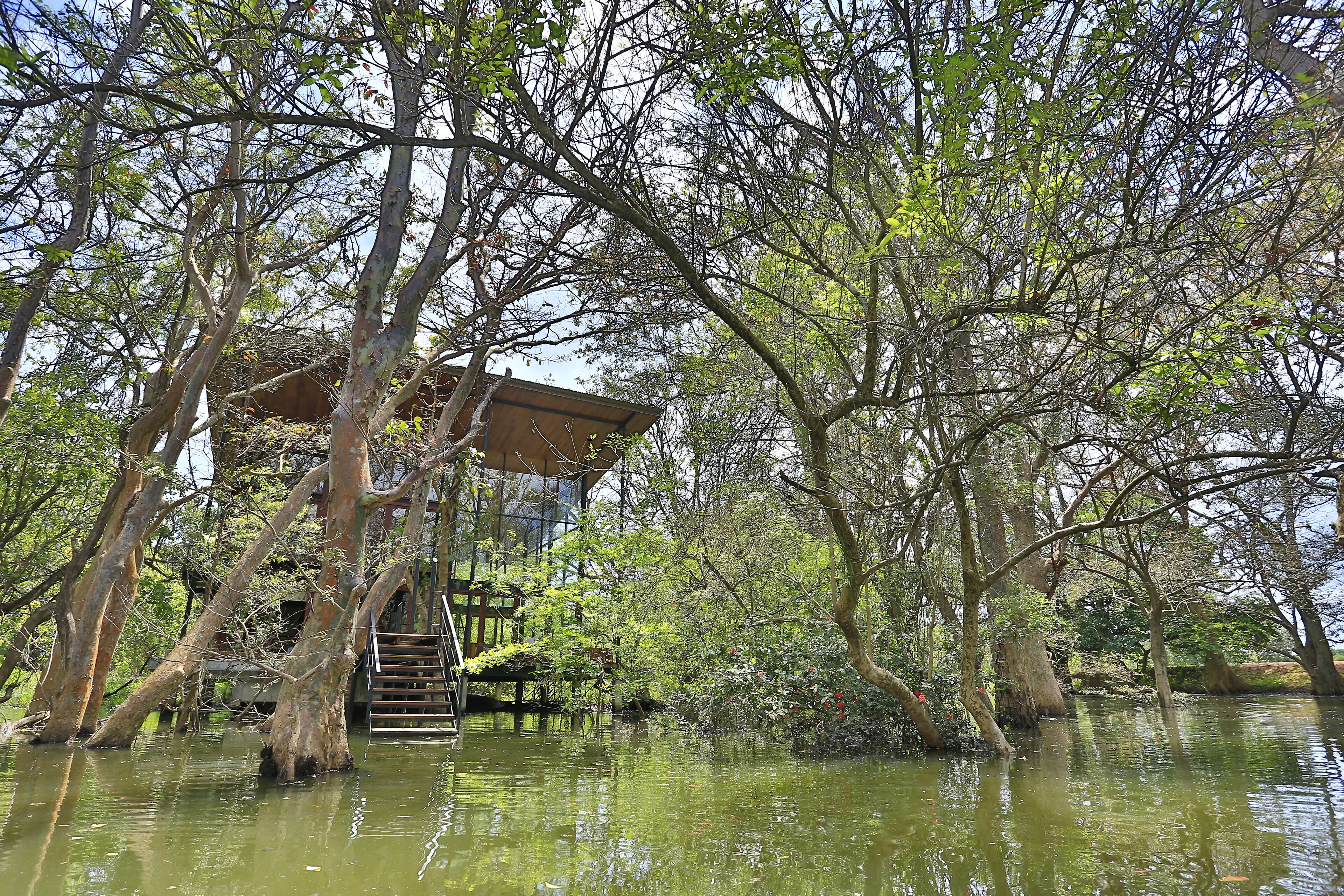 Tasik