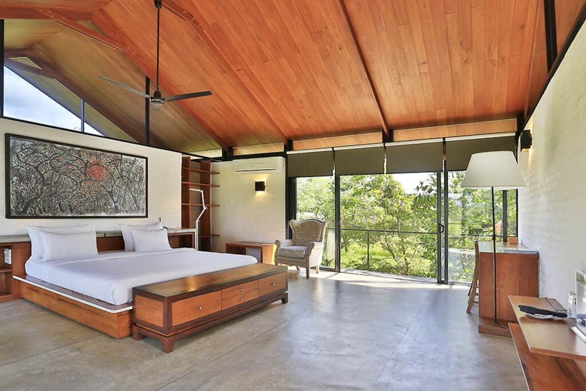 A modern bedroom with a large bed, a ceiling fan, and a view of greenery outside.