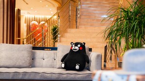 A plush black bear on a grey sofa in a lobby with a staircase and a plant.