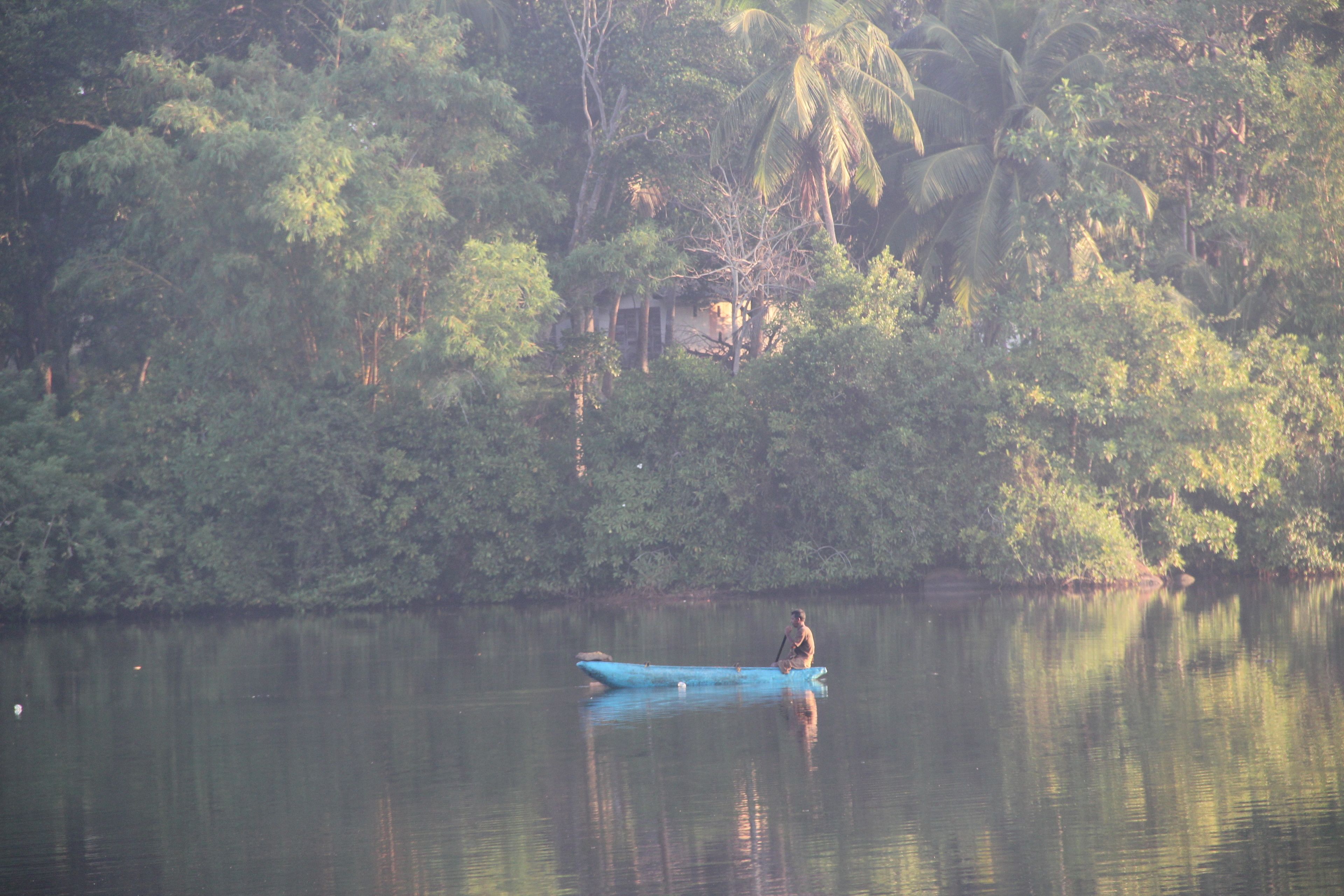Um rio calmo com vegetação densa nas margens.
