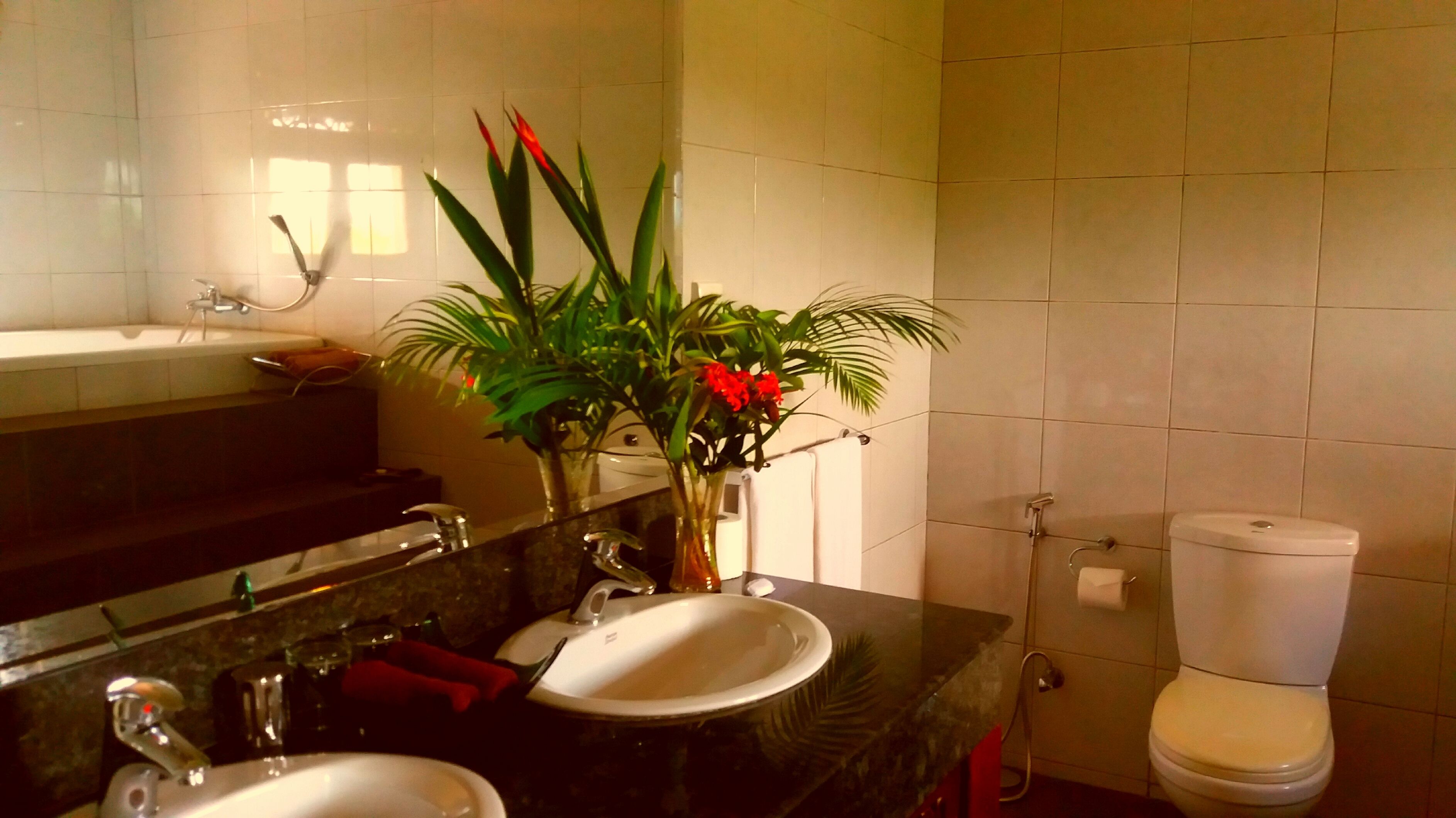 Un bany amb un lavabo, un mirall i un vàter. Hi ha una planta amb flors vermelles al taulell del lavabo.