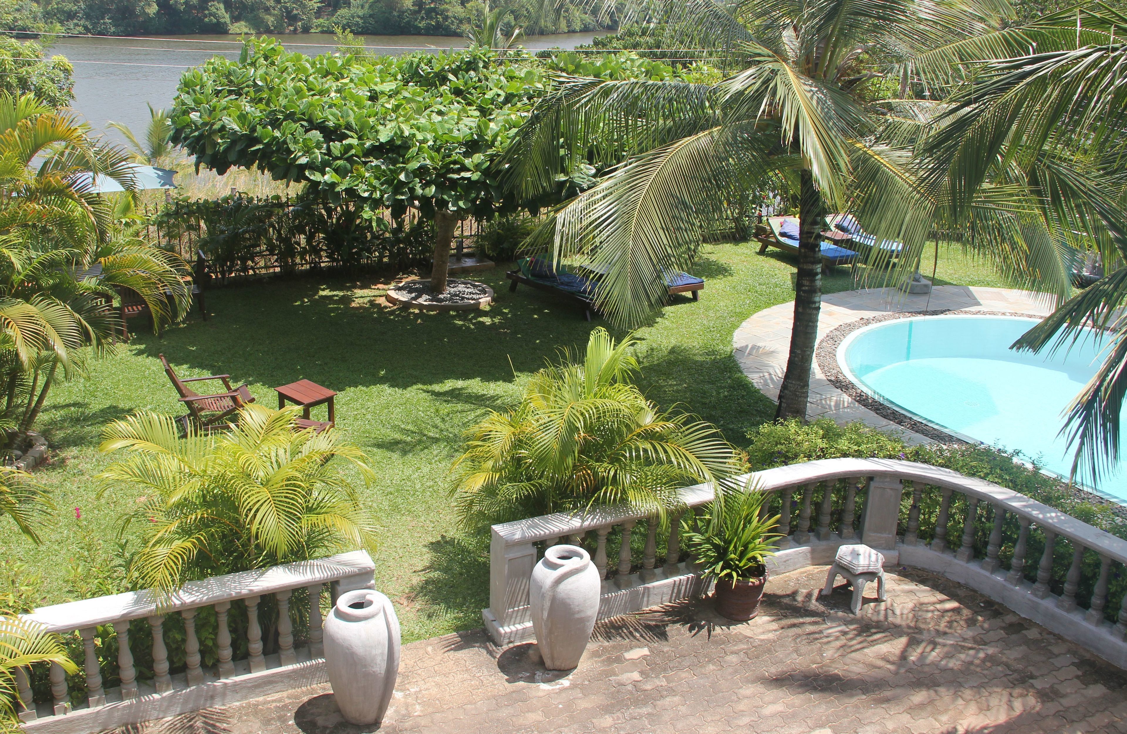 Un área junto a la piscina con césped, palmeras y sillas de descanso.