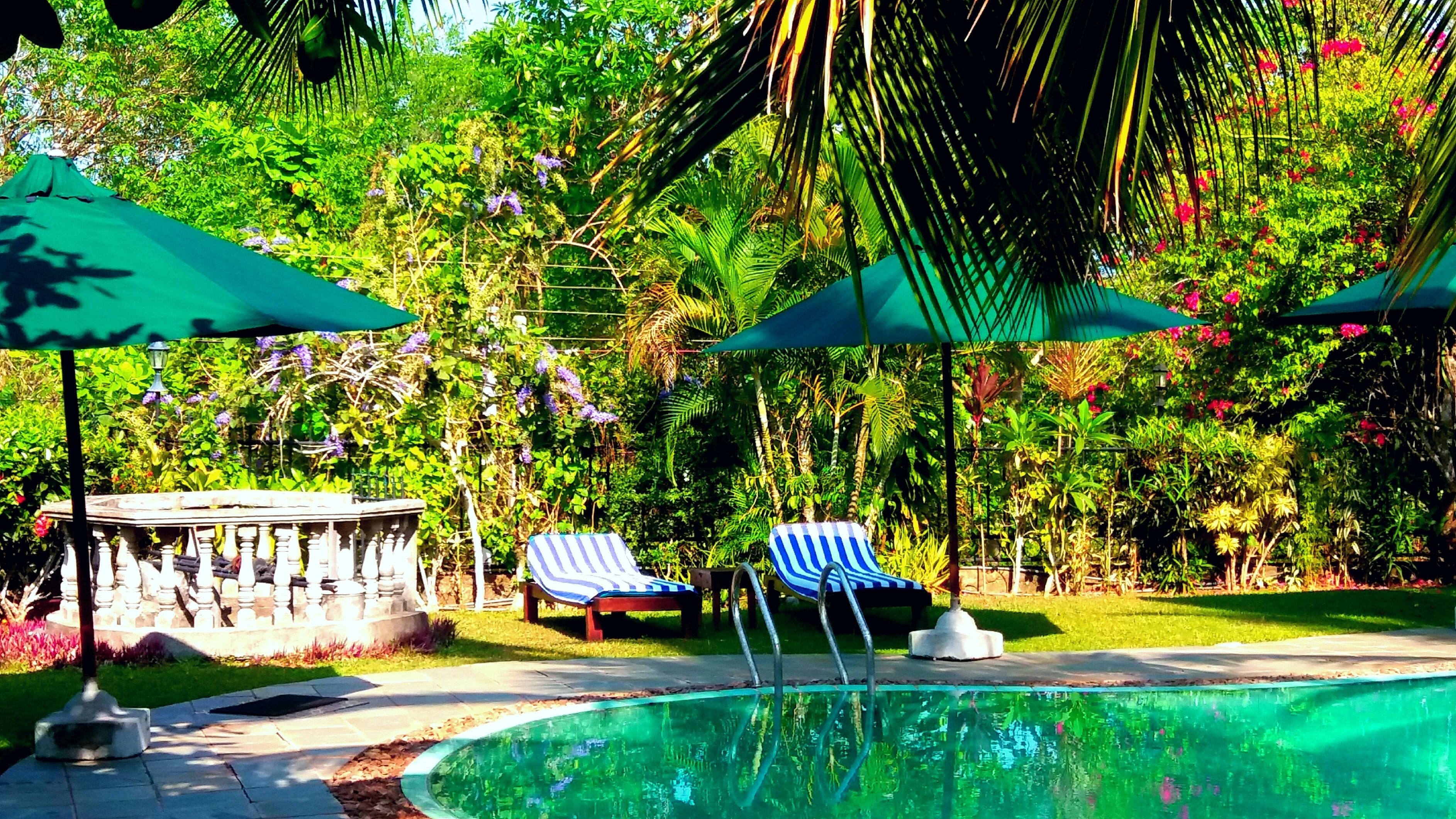 A pool area with lounge chairs, umbrellas, and a stone structure.