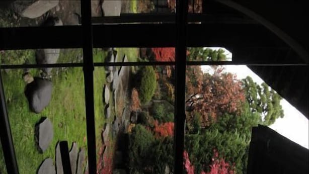 A view through a window with a stone wall, a grassy area, and trees with red foliage.