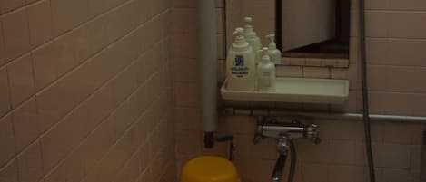 Separate tub and shower, free toiletries, hair dryer