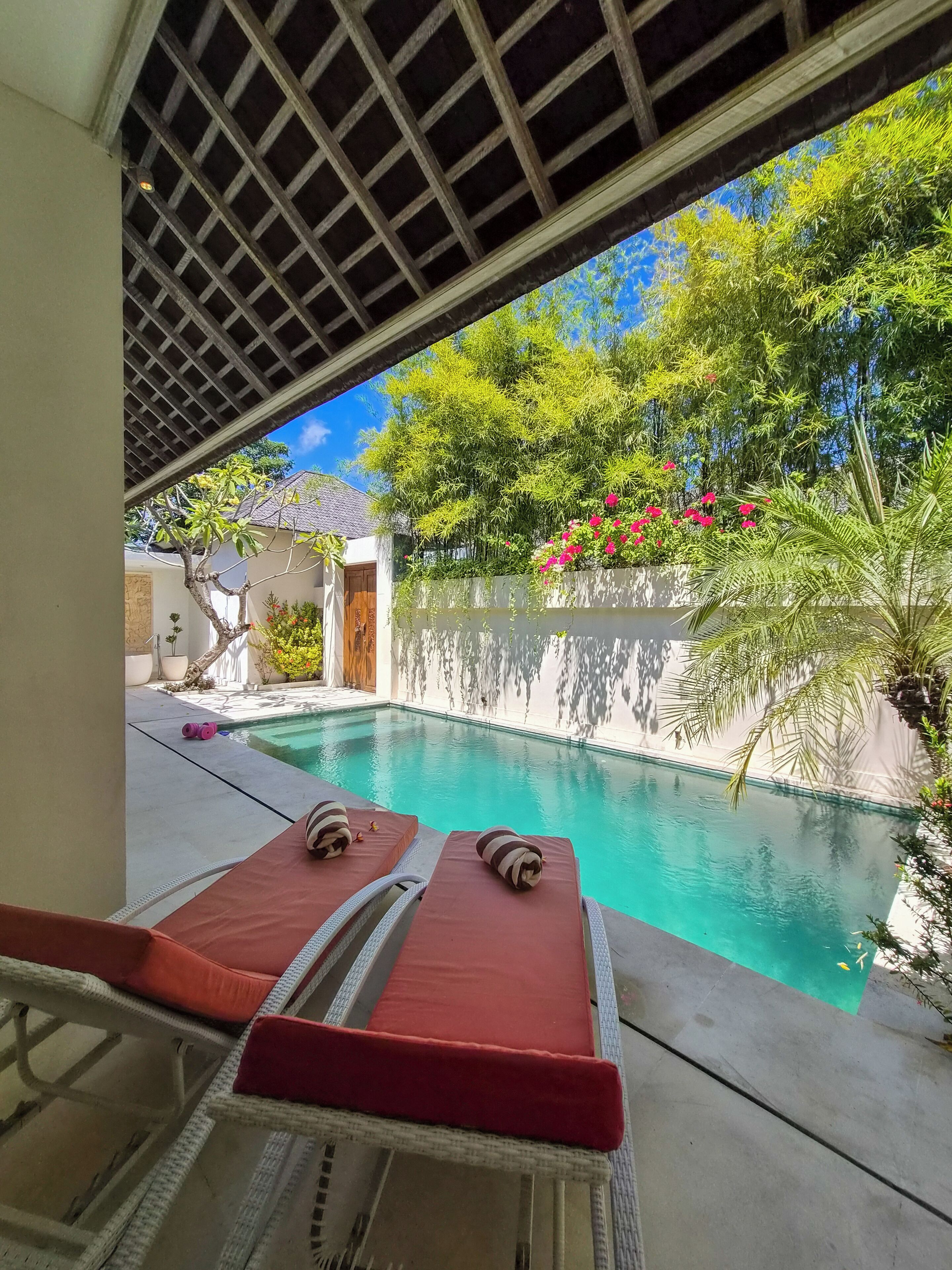 A pool area with lounge chairs and a view of a garden with bamboo and flowering plants.
