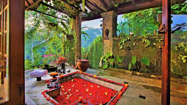 Un espacio al aire libre cubierto con una fuente de piedra llena de flores rojas, rodeado de abundante follaje y una maceta grande.