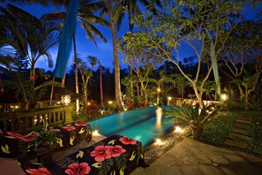 A swimming pool surrounded by tropical plants and palm trees at night.