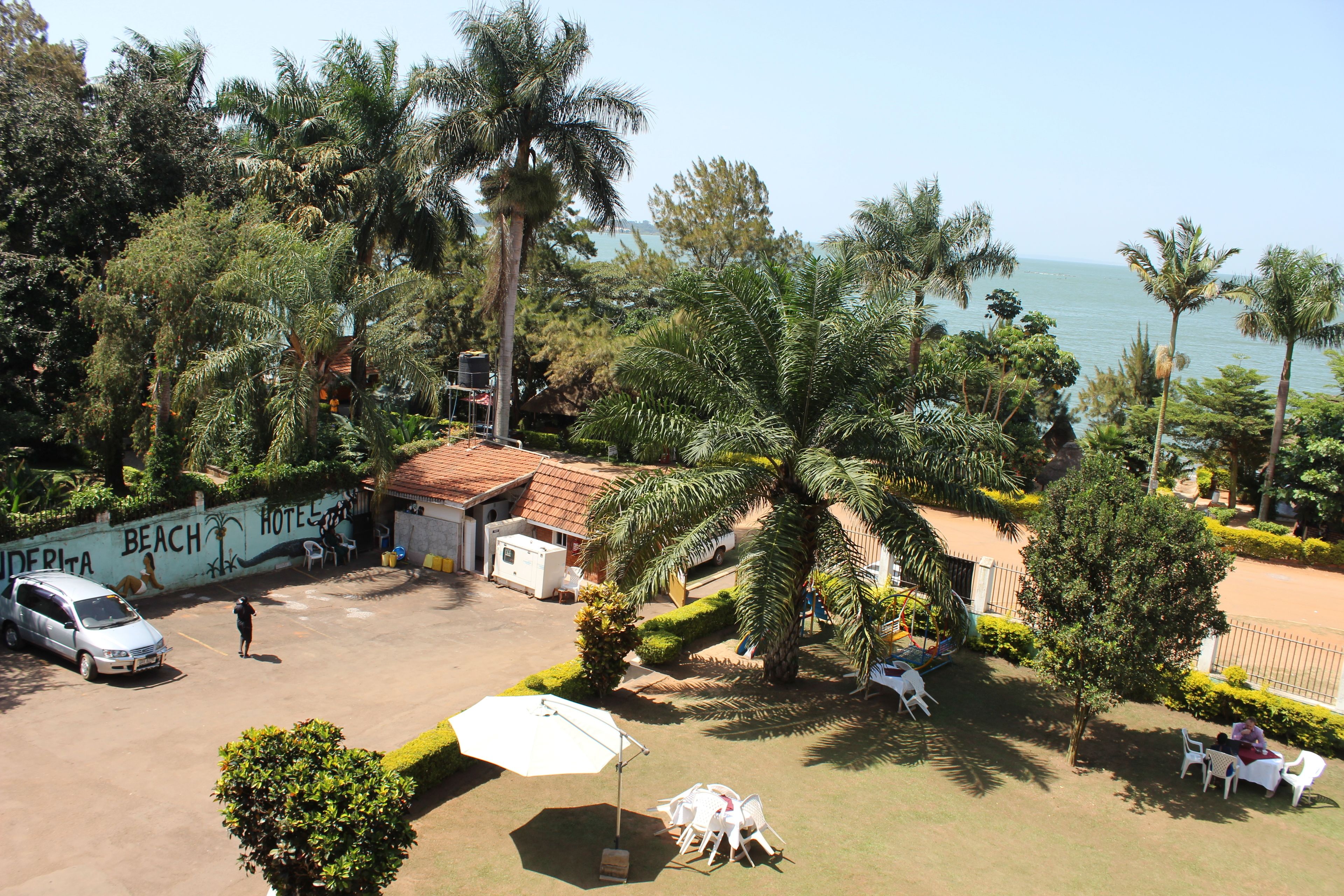 A hotel with a beach view, palm trees, and outdoor seating.