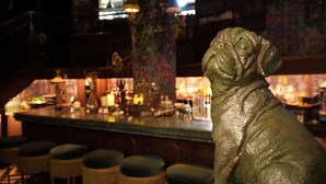 Een bar met een leeuwenbeeld, barstoelen en een bar onderstel met diverse objecten.