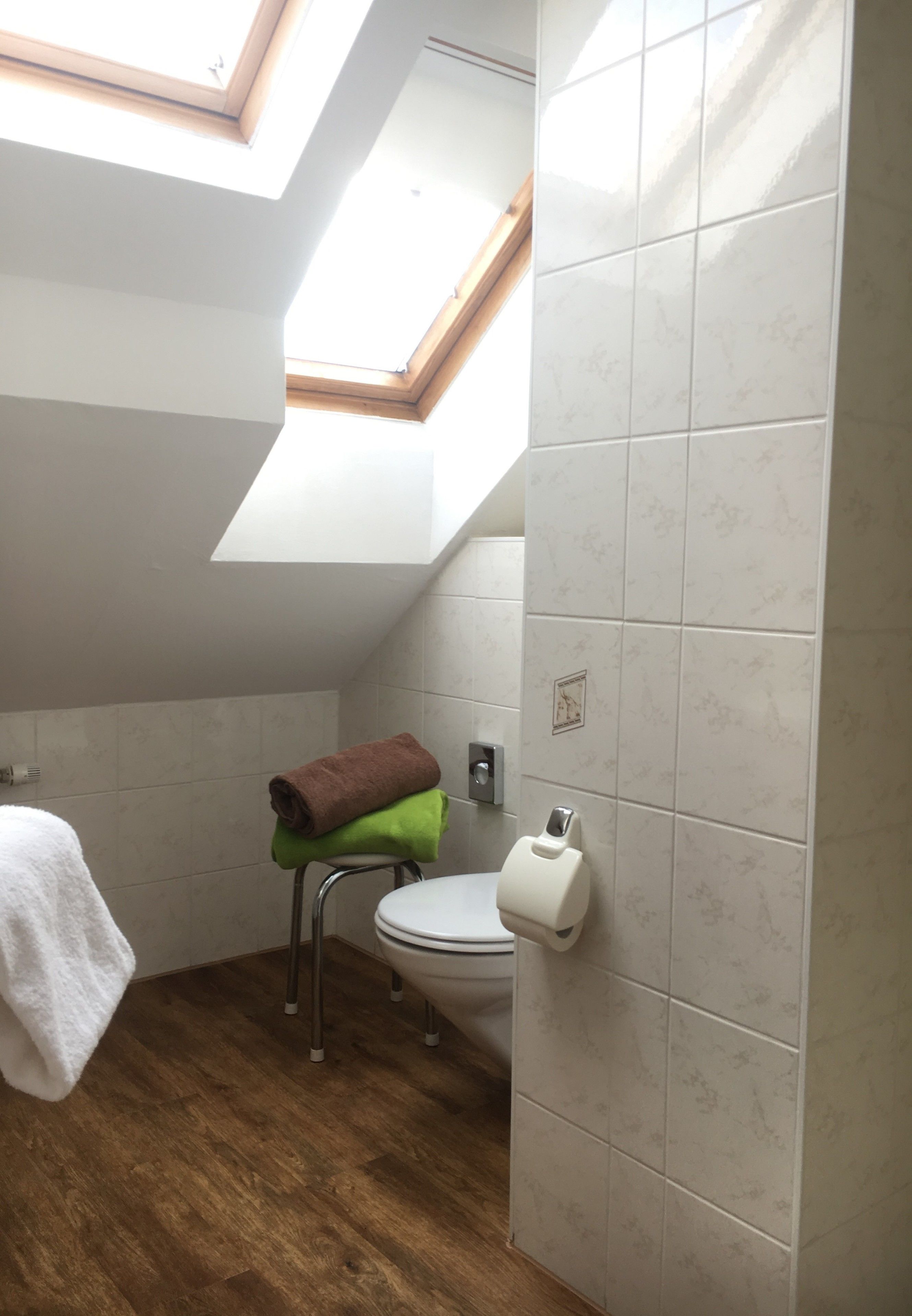 A small bathroom with a skylight, a toilet, a towel rack, and a hand dryer.