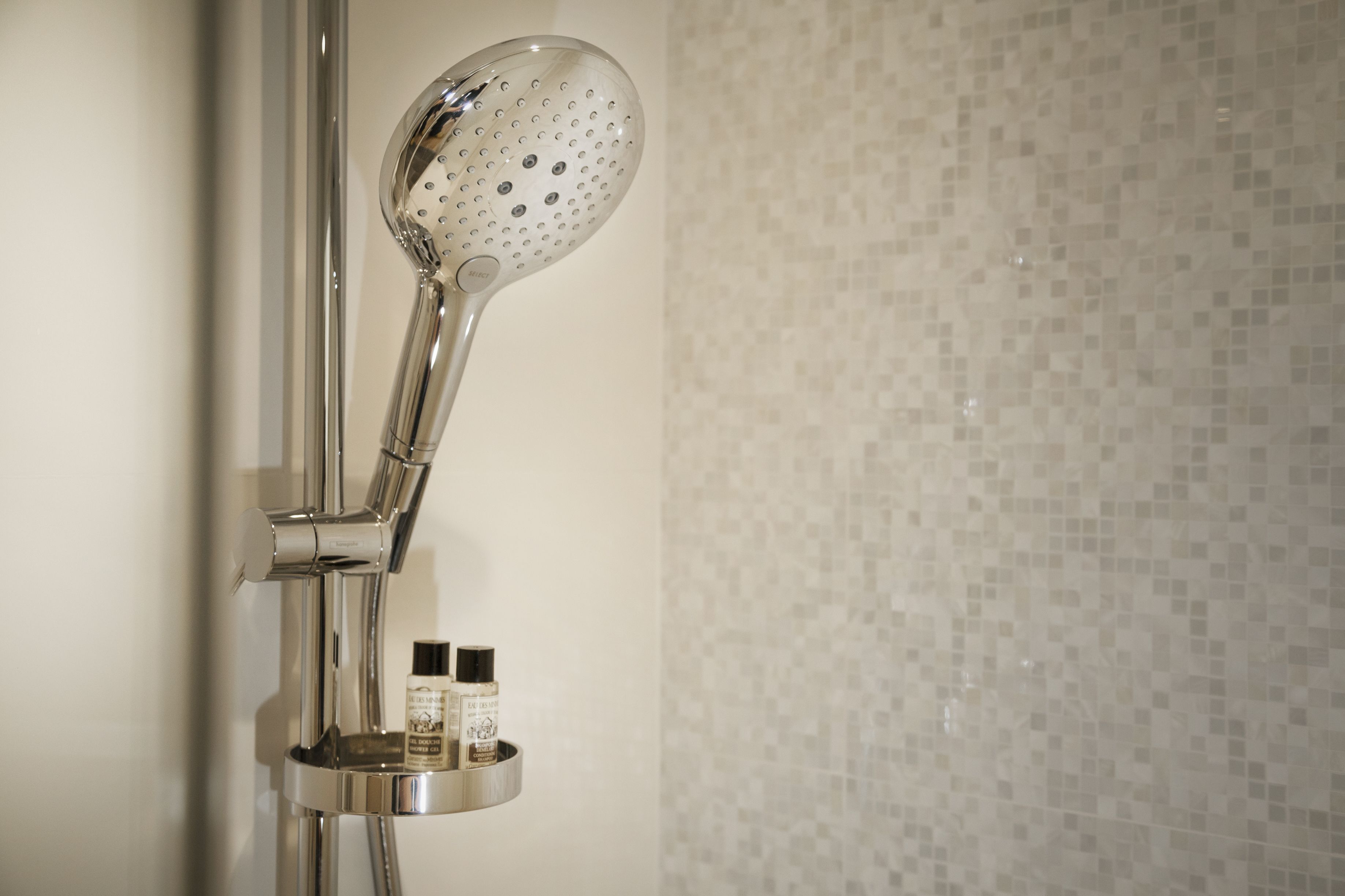 classic double room | bathroom shower