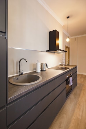 Superior Apartment, 2 Bedrooms | Private kitchen | Full-size fridge, microwave, oven, stovetop - Bearsleys Downtown Apartments (Riga)