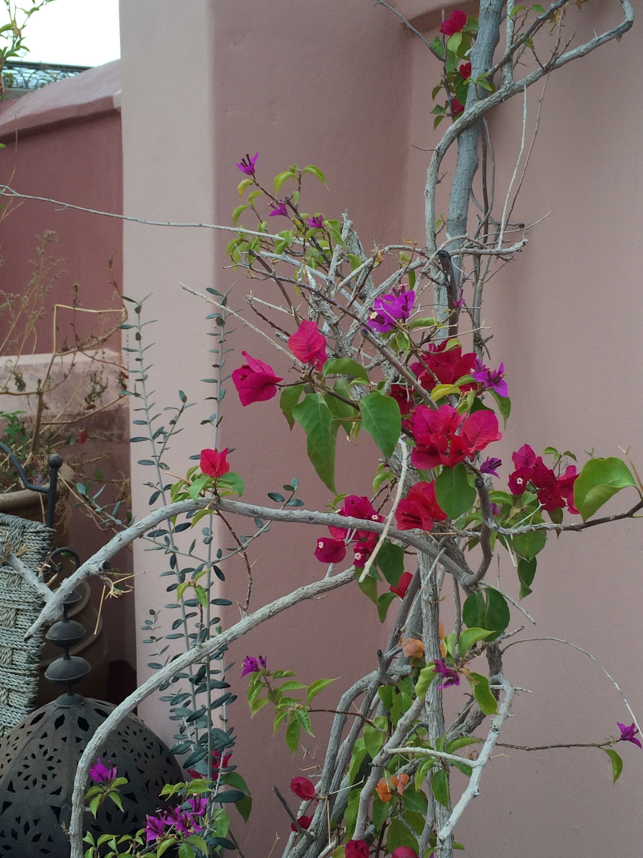 Photo - Riad El Youssoufi