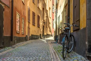 A narrow cobblestone street with a bicycle parked against a building.
