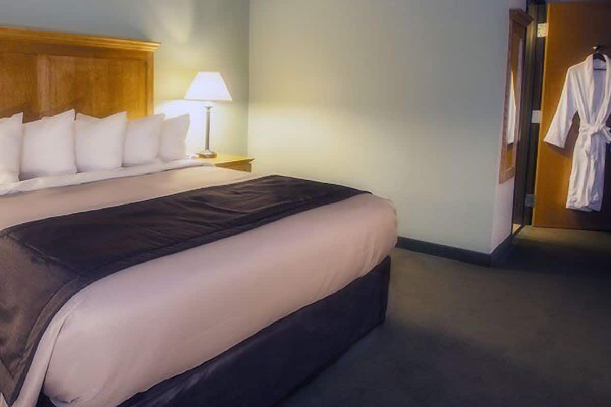 Chambre, 1 trĂšs grand lit | Literie de qualitĂ©, couette en duvet, bureau, rideaux dâobscurcissement