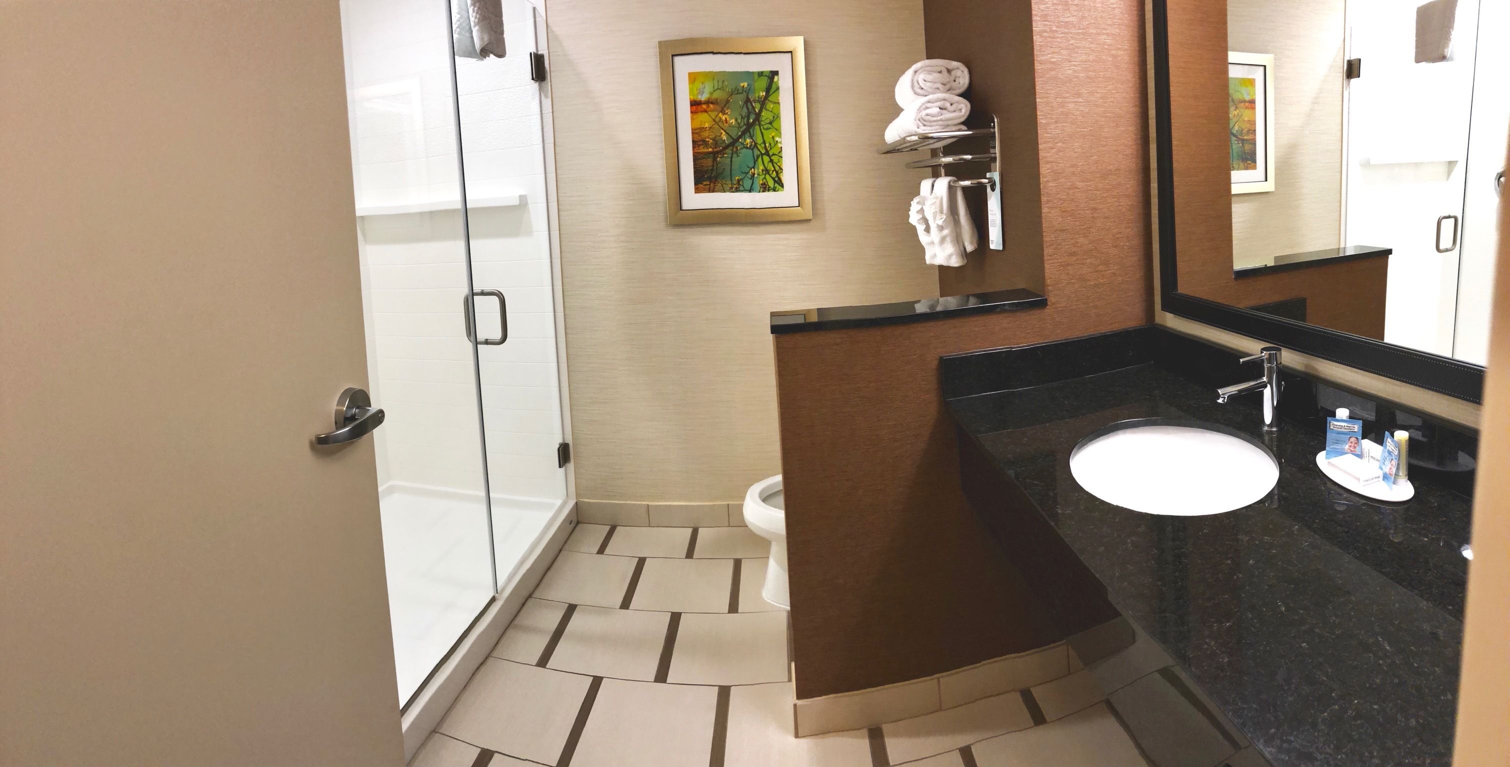 combined shower/bathtub, free toiletries, hair dryer, towels