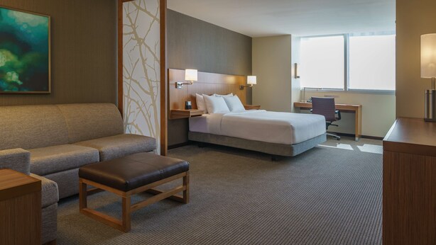 Una habitación de hotel con cama, sofá, escritorio y silla.