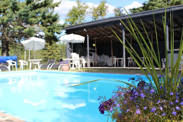 Outdoor pool - Timberland Motel (Penobsquis)