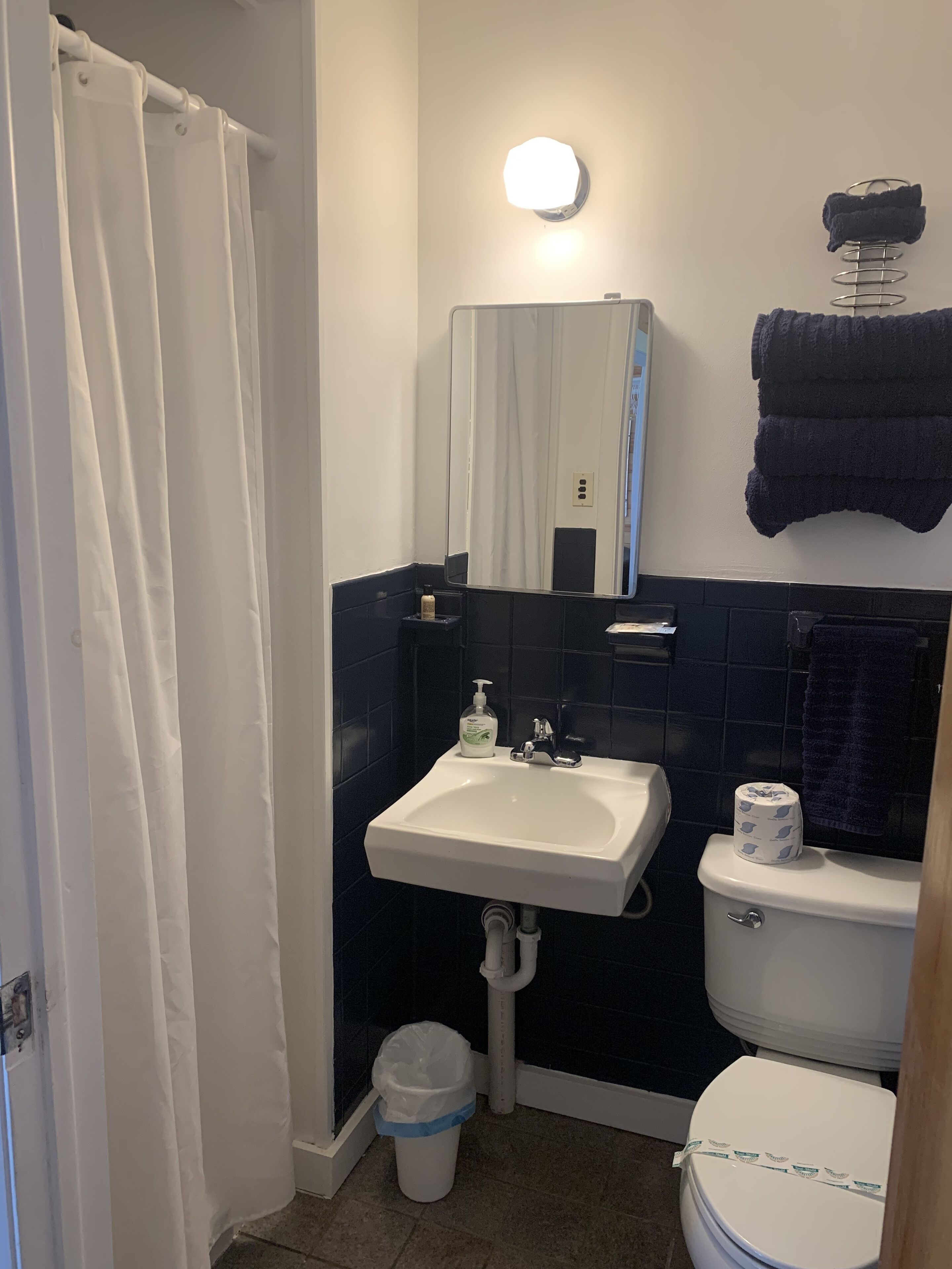 Une salle de bain avec un lavabo blanc, un miroir, des toilettes et un rideau de douche.
