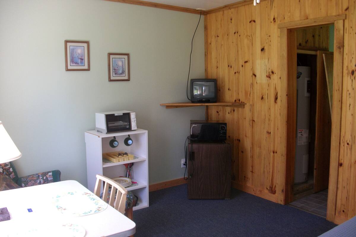 deluxe room, 1 queen bed, kitchenette, lakeside | private kitchenette | coffee/tea maker