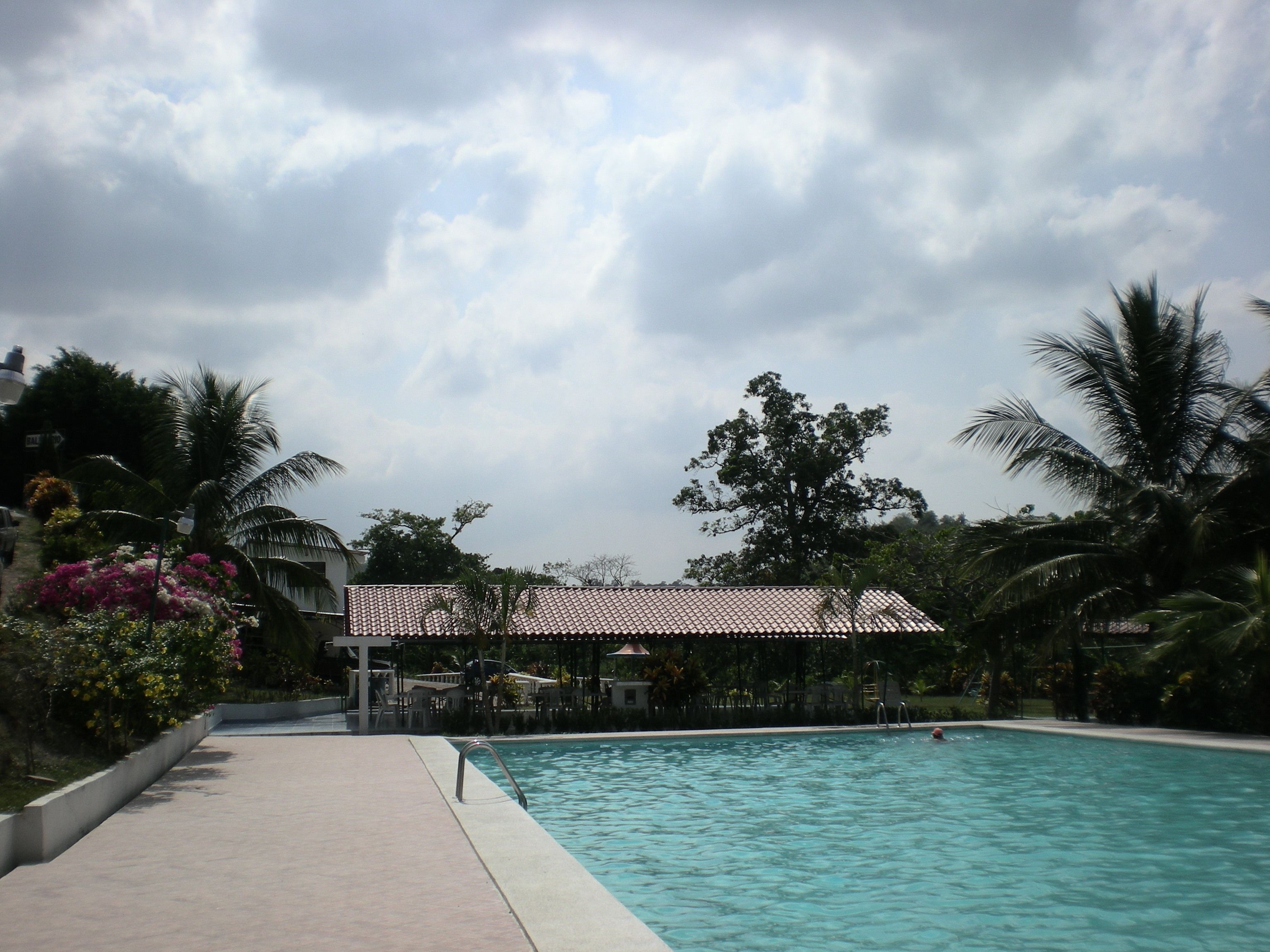 A swimming pool with a tiled roof structure, surrounded by palm trees and flowering plants.