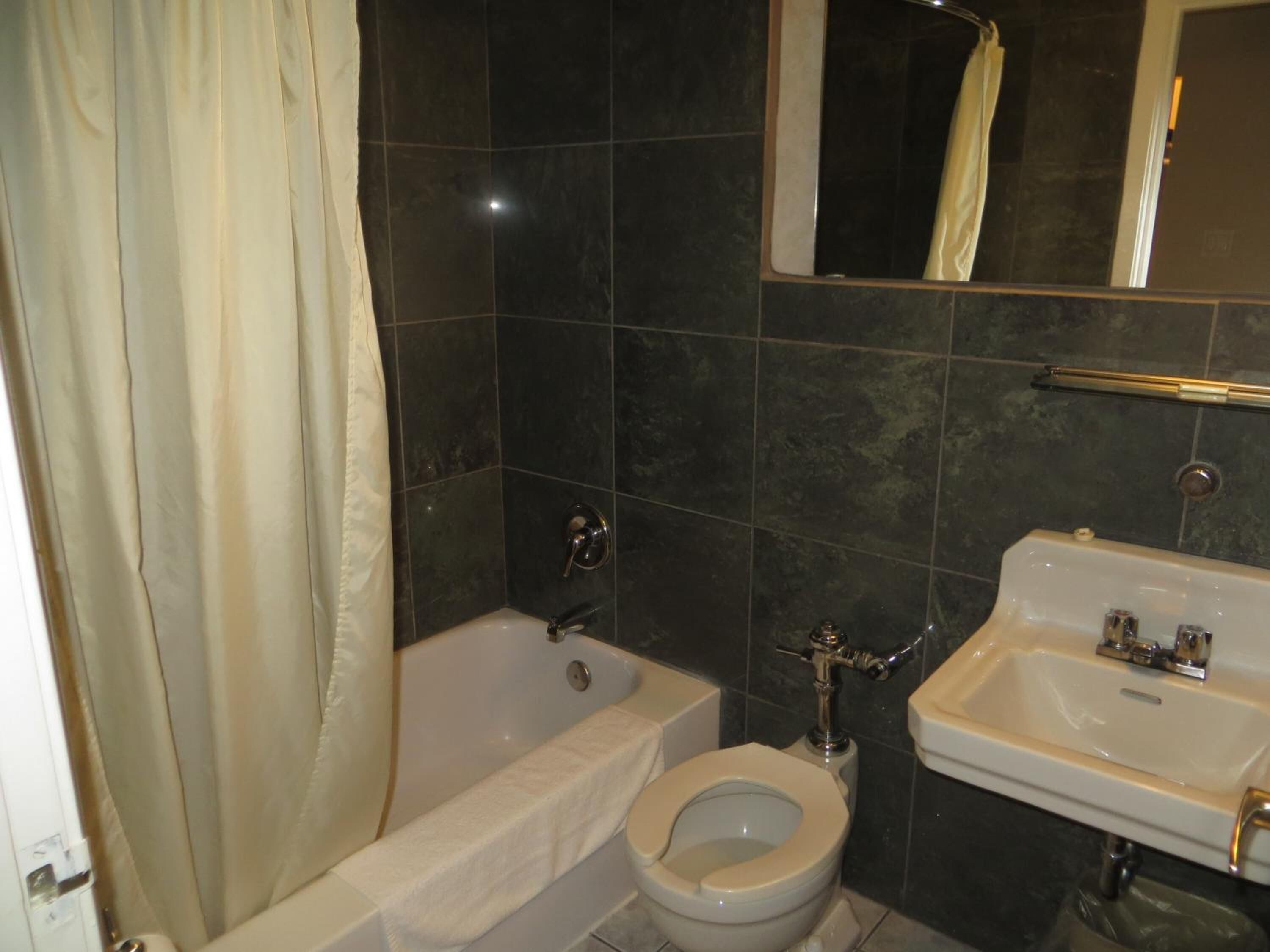 combined shower/bathtub, free toiletries, towels